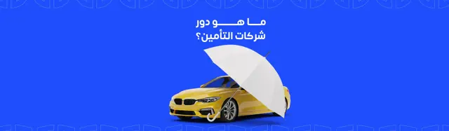 What is the role of insurance companies?